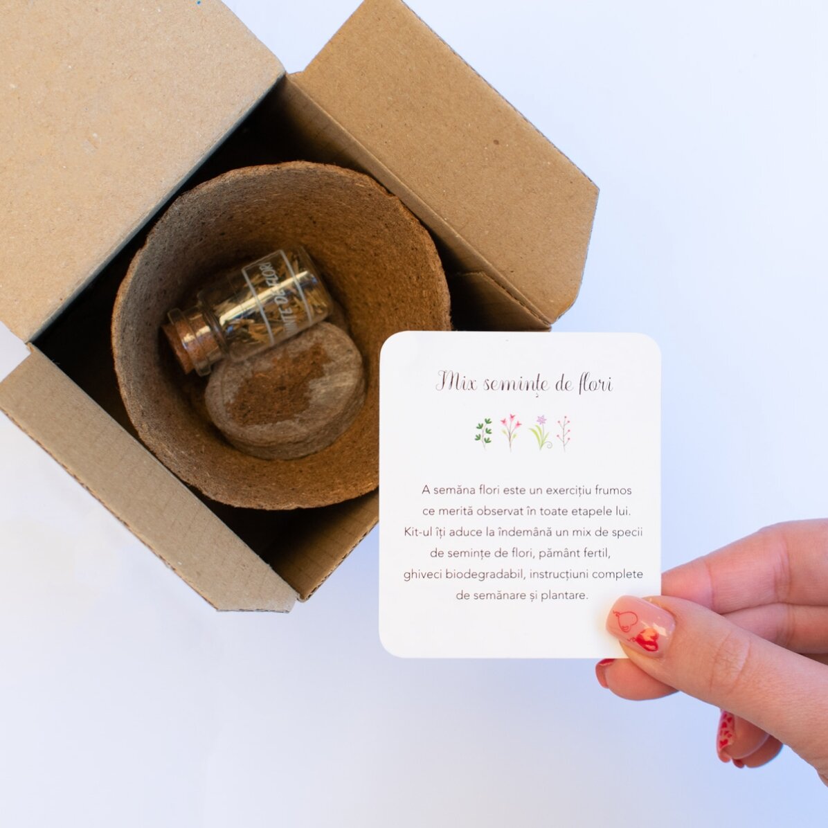 Sada na výsadbu jarních květin v krabičce s vlastním logem a vzkazem – Floral