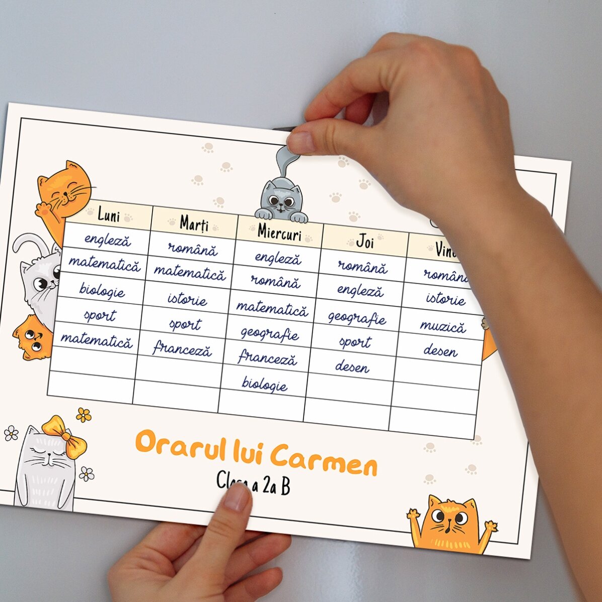 Přizpůsobený rozvrh s textem – Kittens