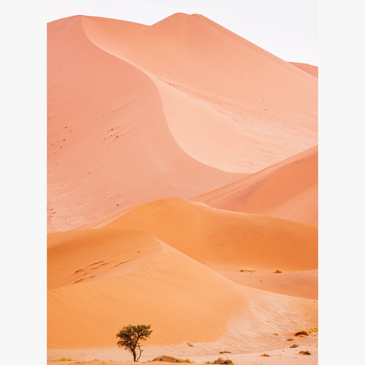 Dunes Poster