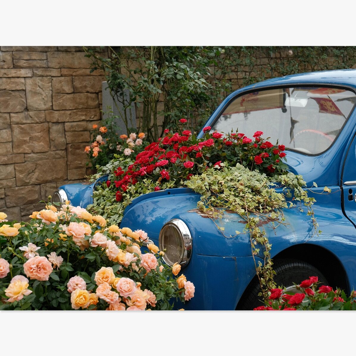 Plakát: Modré vintage auto s květinami