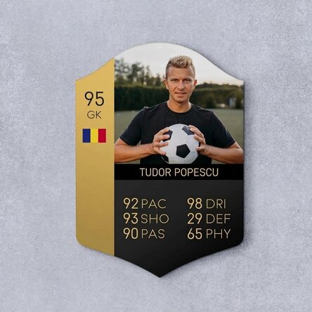 Osobní karta FIFA s fotografií a statistikami – Milovník fotbalu