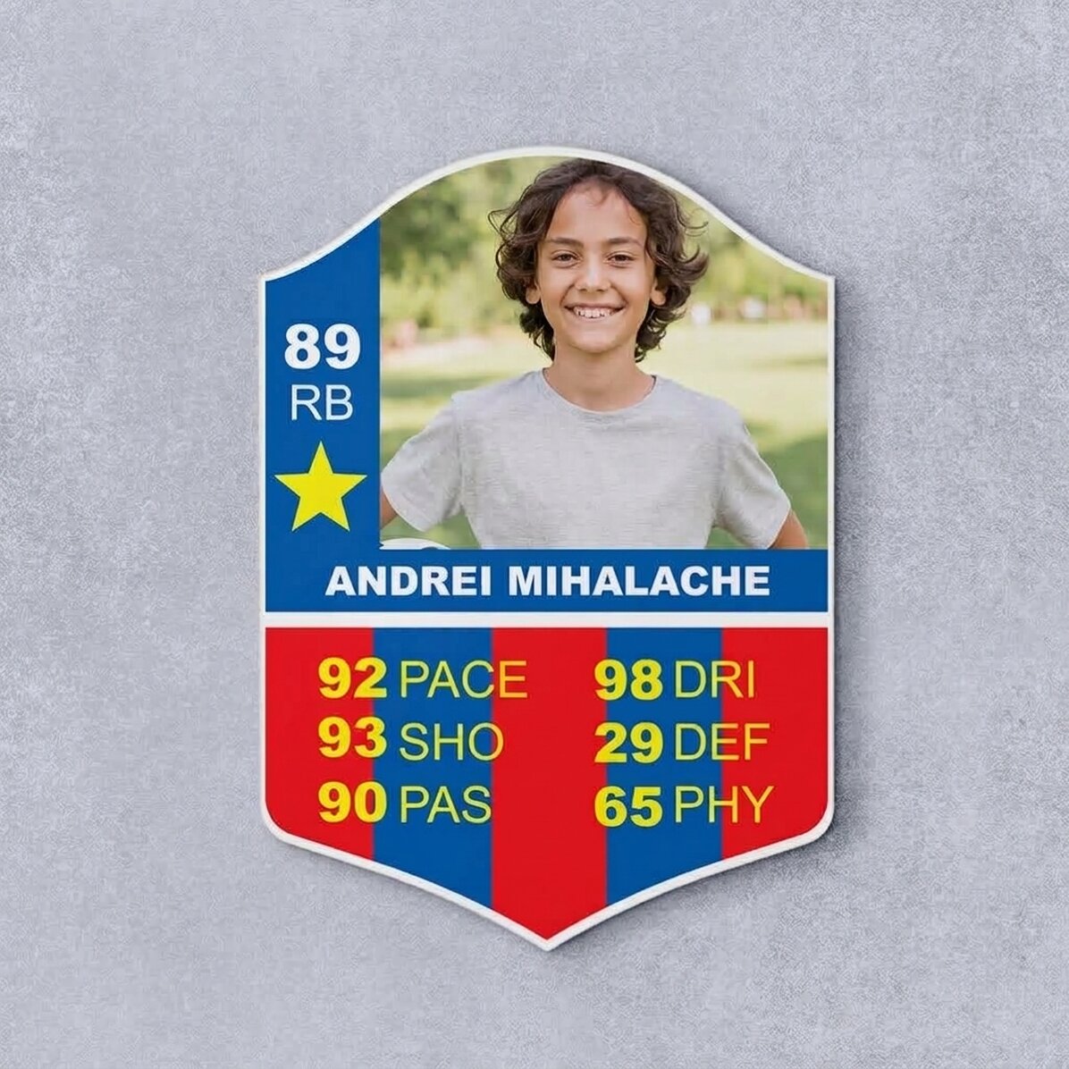 Personalizovaná karta FIFA s fotografií a statistikami – SB
