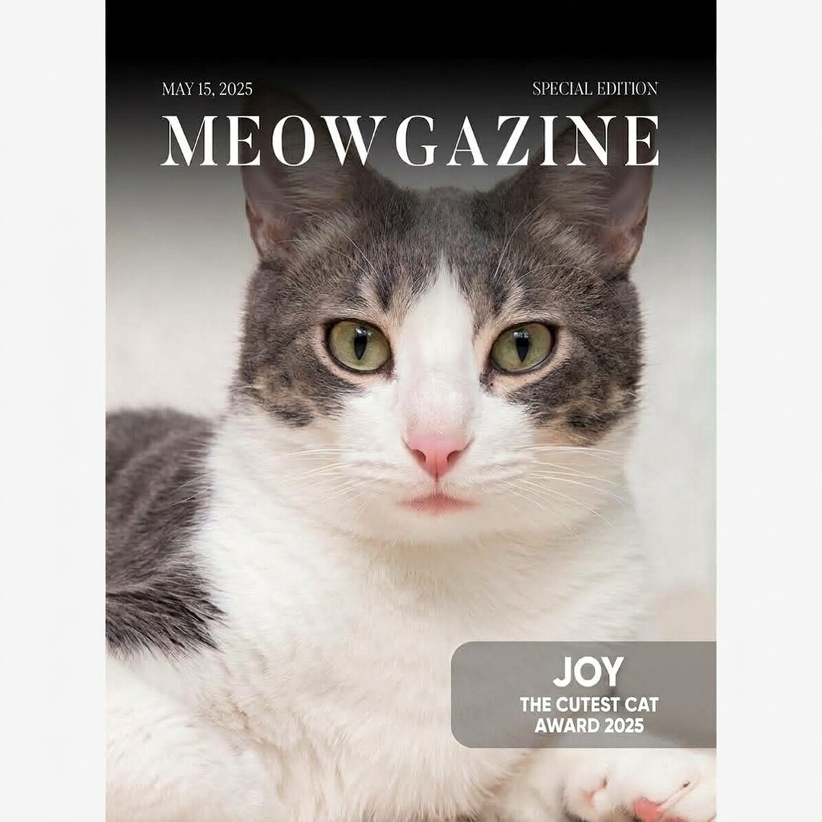 Personalizovaný plakát s fotografií a textem – Meowgazine